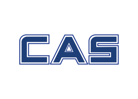 Cas Corporation стр. 3